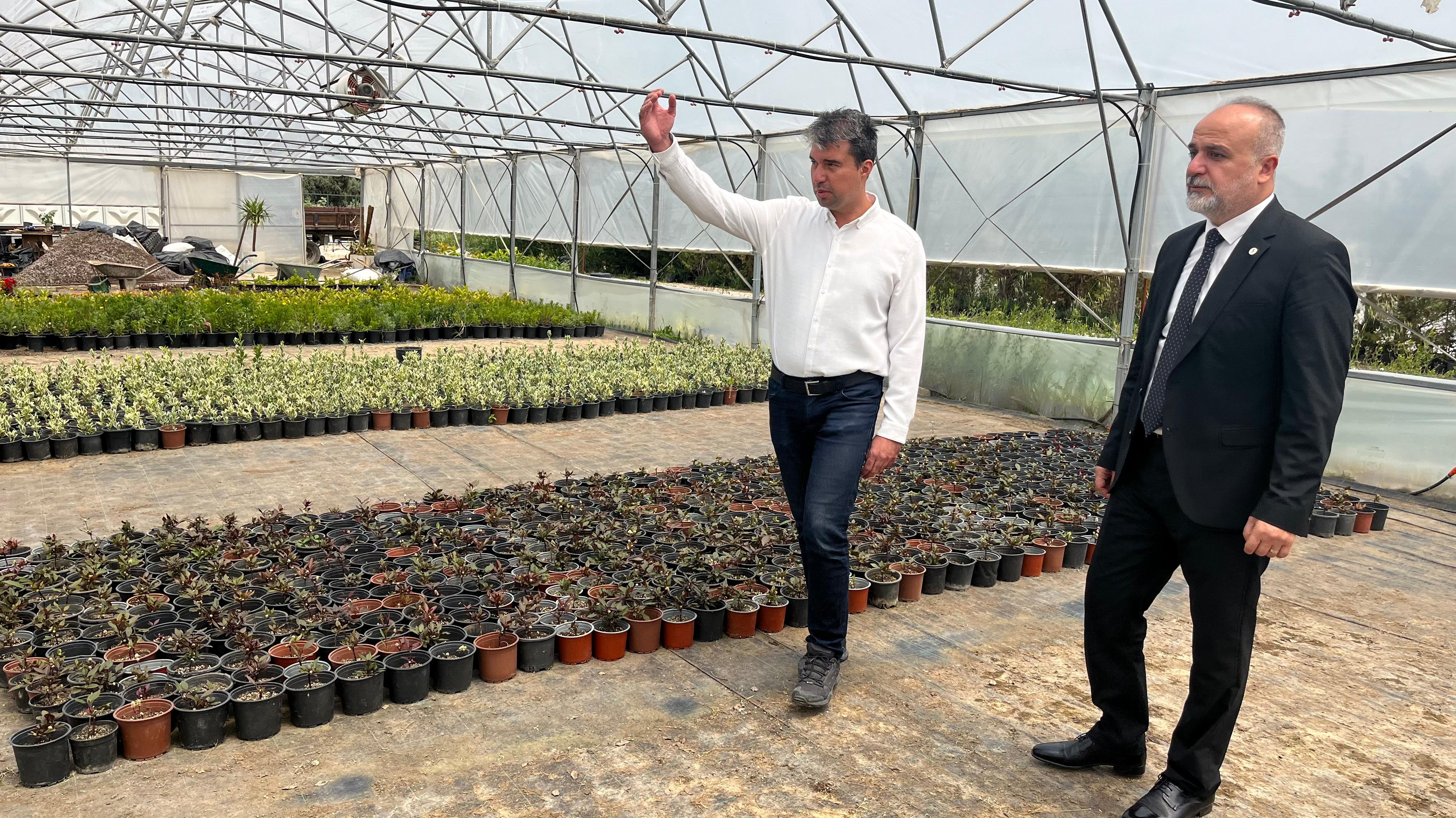 Başkan Vekili Dehmen'den Çiçek Seralarına Ziyaret